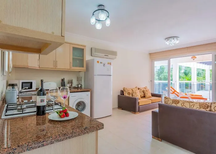 Number 8 Olivia 公寓 厄吕代尼兹