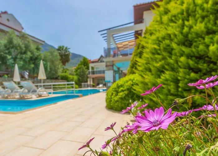 شقة Number 8 Olivia